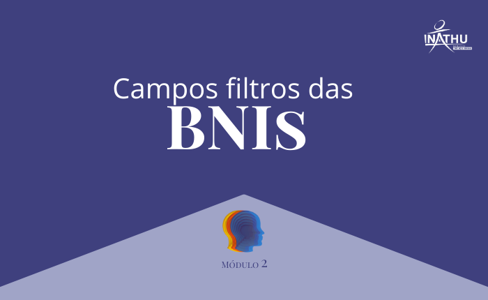 Módulo 02 – Campos filtros das BNIs