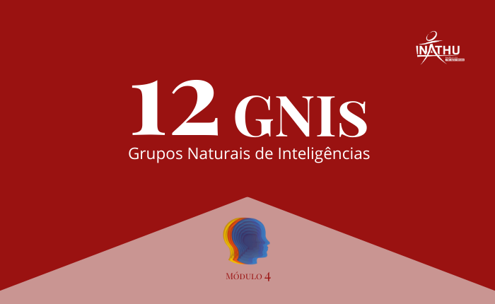 Módulo 4 – Os 12 GNI’s – Grupos Naturais de Inteligências